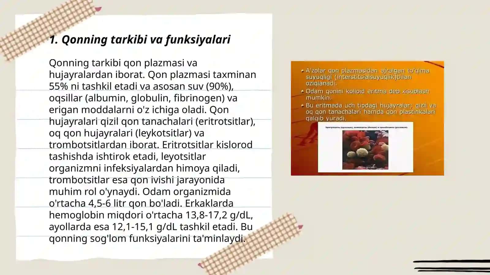 Siyrak Tolali Biriktiruvchi Toʻqimalarning Oʻzaro Munosabati 3