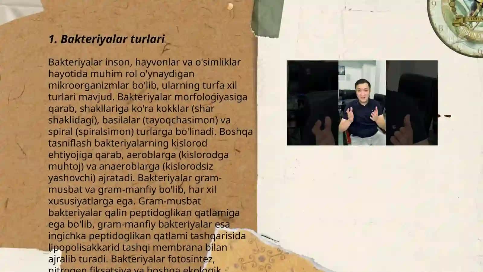 Bakteriya va viruslar 3