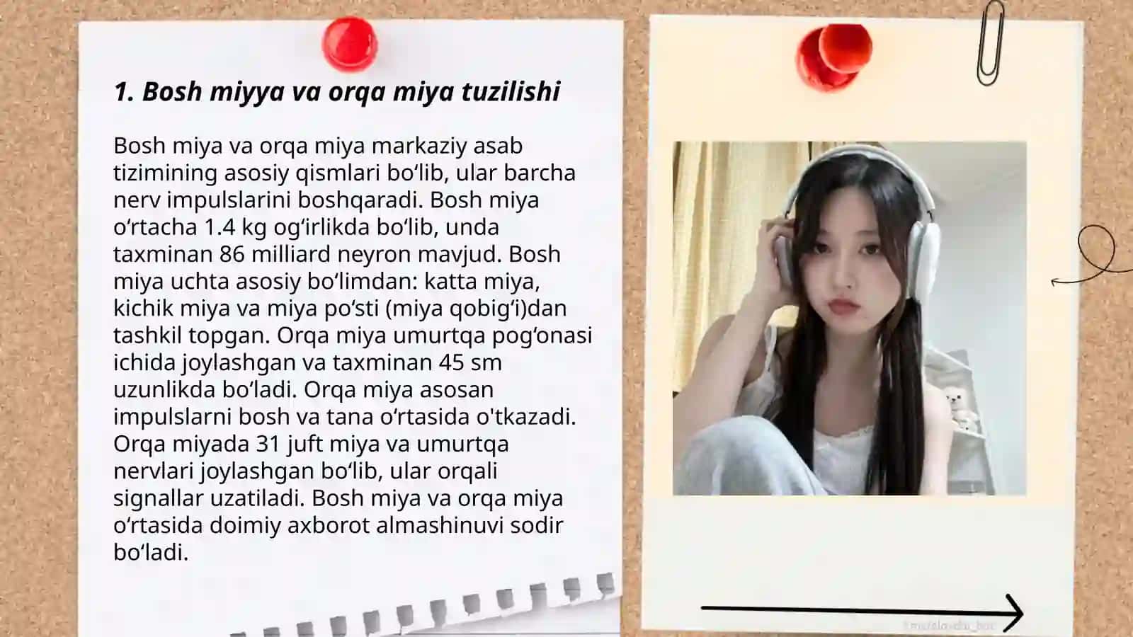 Bosh miyya va orqa miyyaning asosiy yo'llari:bosh miyya o'tkazuvchi yo'llaring anatomik va funkisiyanal faoliyati taqdimod 3