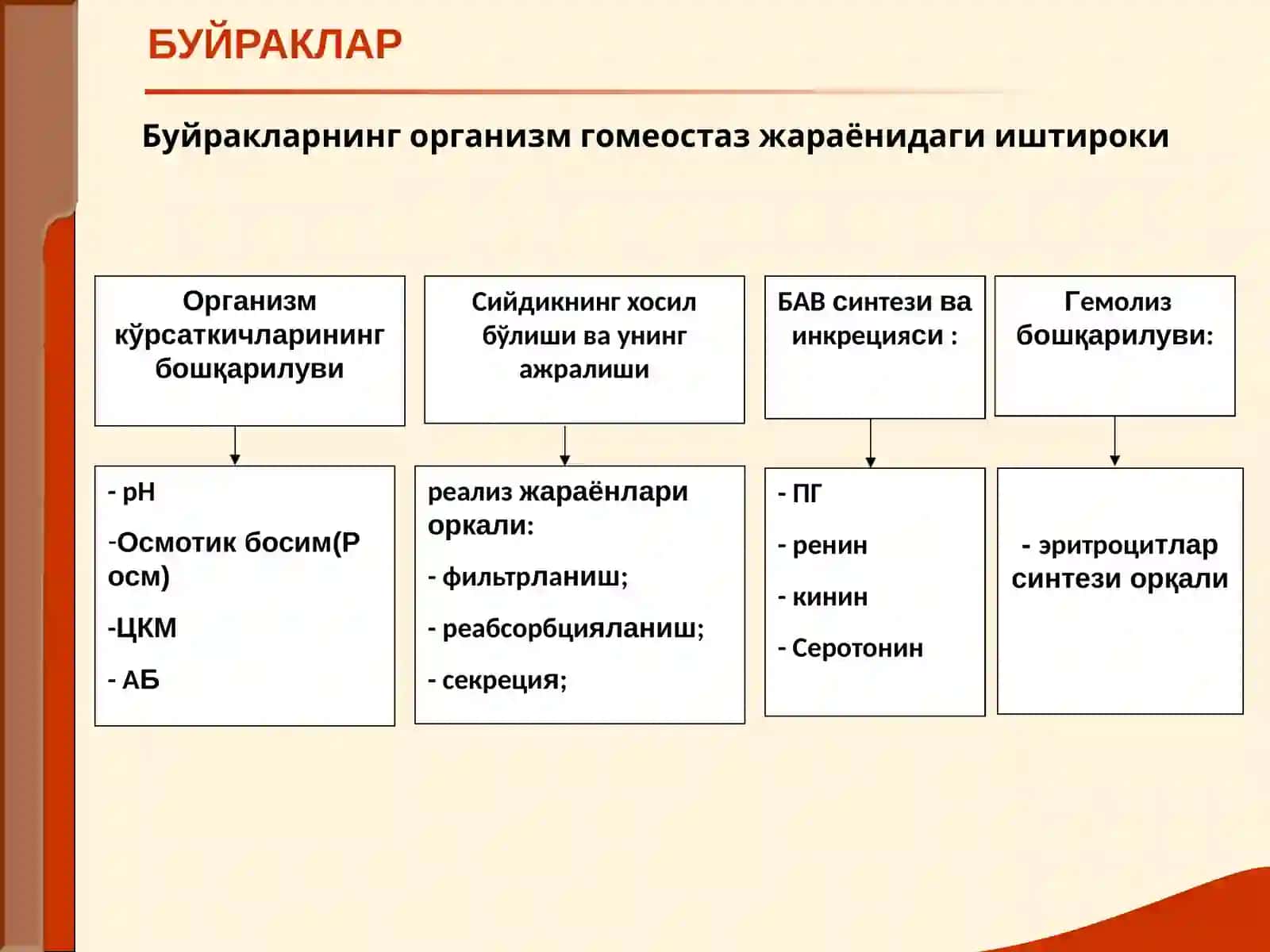 МАЪРУЗА №6БУЙРАК КАСАЛЛИГИ БИЛАН ОҒРИГАН БЕМОРЛАРНИ ТЕКШИРИШ 3