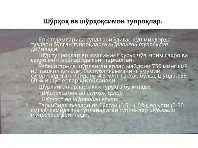 Шўрҳоқ ва шўрҳоқсимон тупроқлар 3