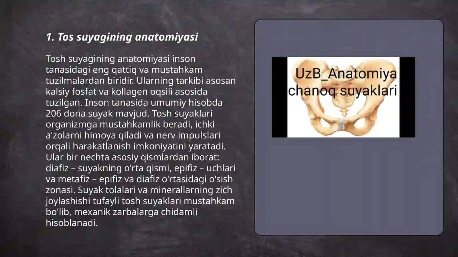 Tos suyagi 3