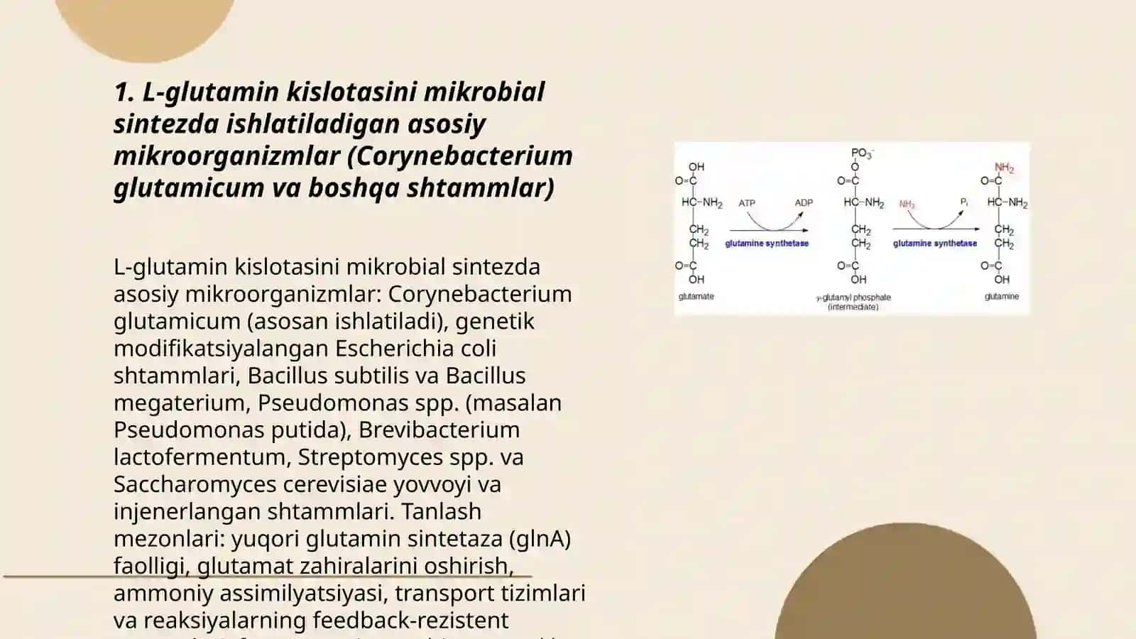 L-glutamin kislotani mikrobiologik uslubda sintezlash va ajratib olish texnologiyasi 3