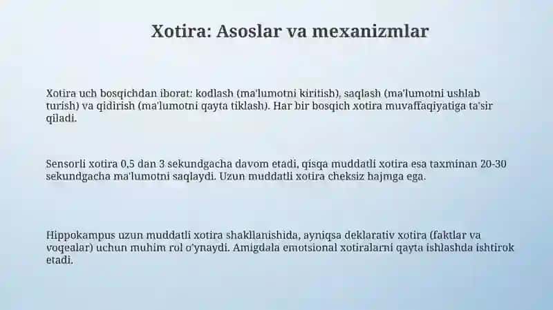 Xotira, Idrok va Ma'lumotlarning O'zaro Aloqadorligi 3