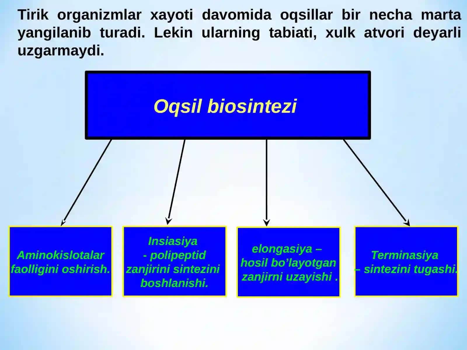 Oqsil biosintezi 3