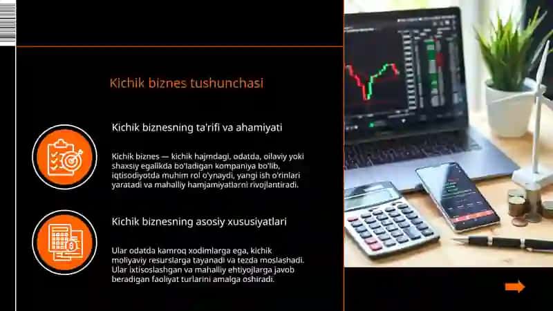 Kichik biznes va tadbirkorlik sub'ektlari 3