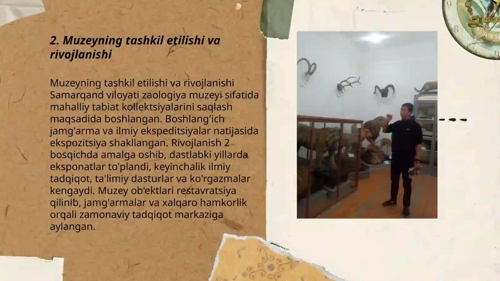 Zaologiya va botanika muzeyi 3