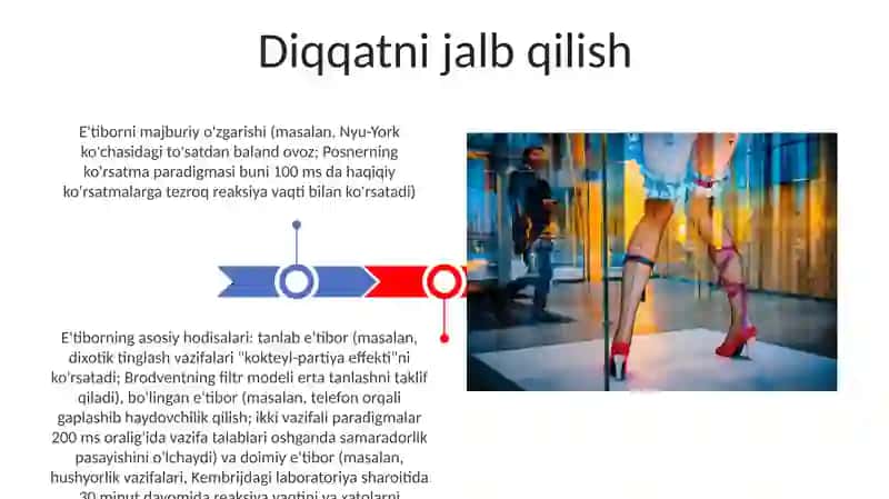 Когнитивные процесы. Внимание и его основные феномены 3