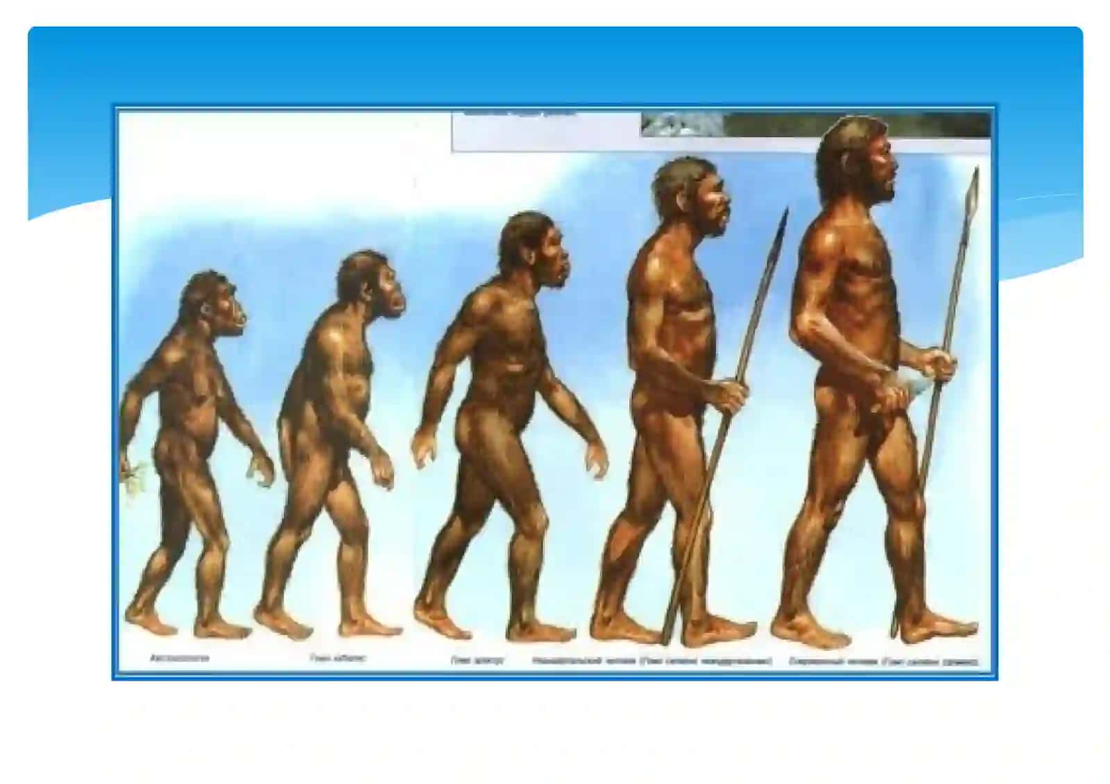 Homo payda bolíwı hám tarqaliwi 3