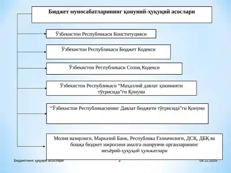 Бюджетнинг ҳуқуқий асослари 3