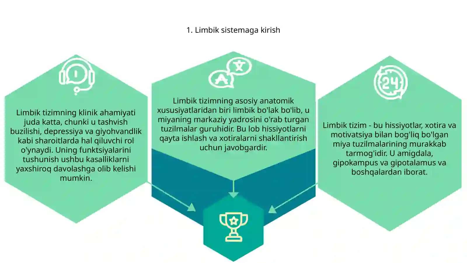 Limbik tizim: funksiyasi, asosiy anatomiy xosilalar, klinik ahamiyati 3