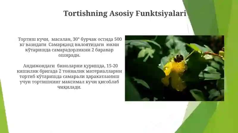 Tortishning Asosiy Funktsiyalari 3
