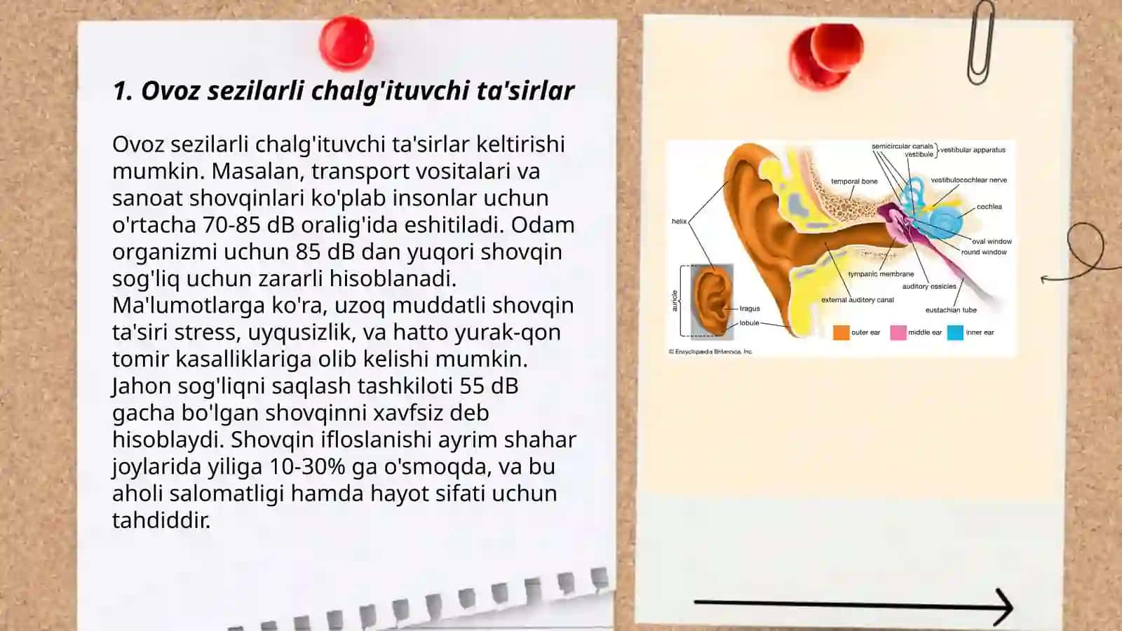 Inson eshitish qobiliyatini oʻrganish metodlari 3