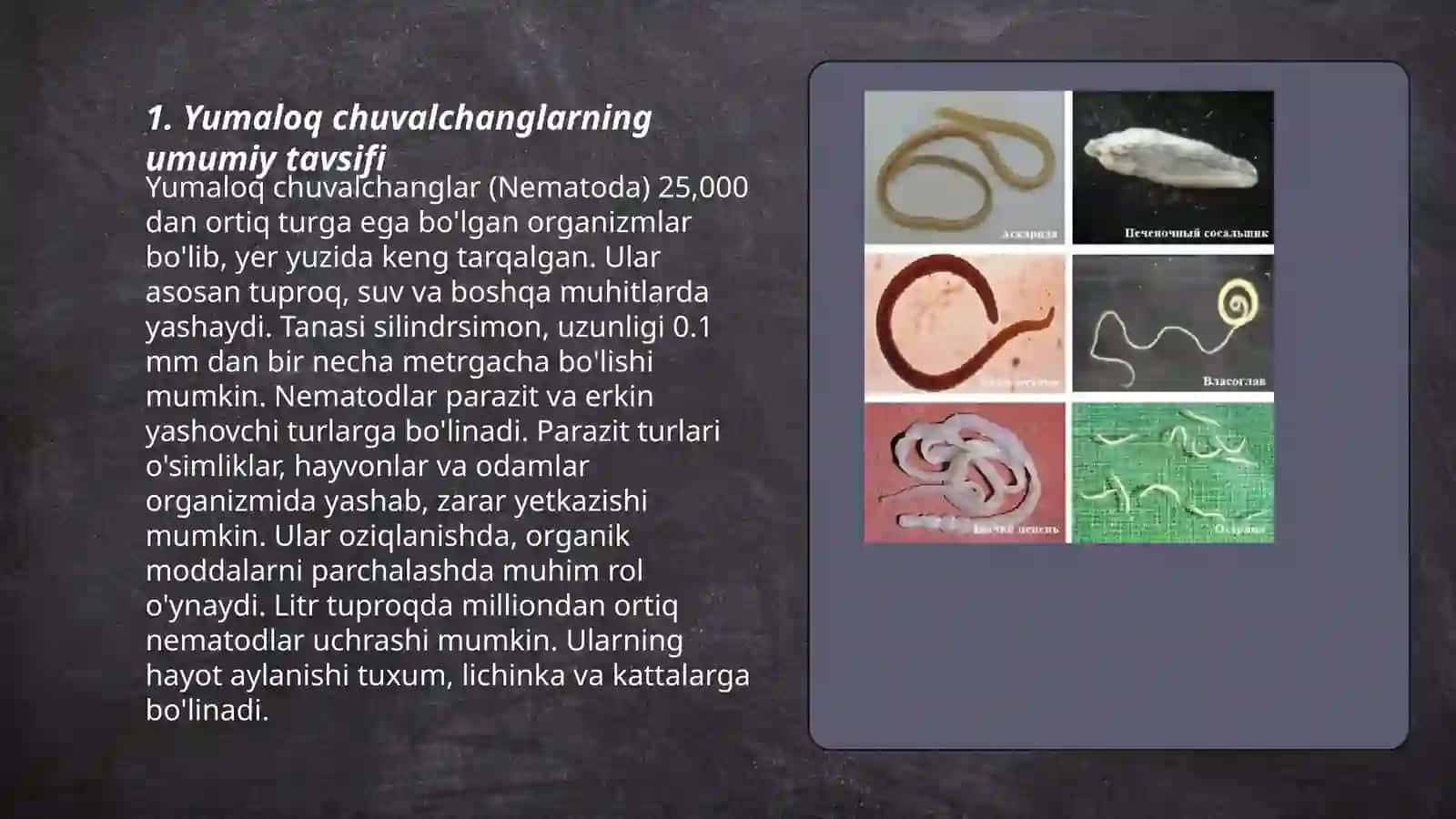 Yumaloq chuvalchanglarning umumiy tavsifi 3