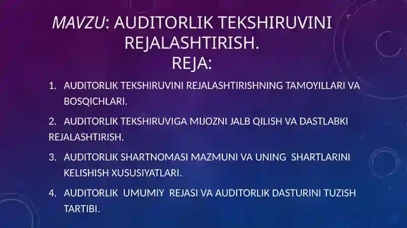 Auditorlik tekshiruvinirejalashtirish 3