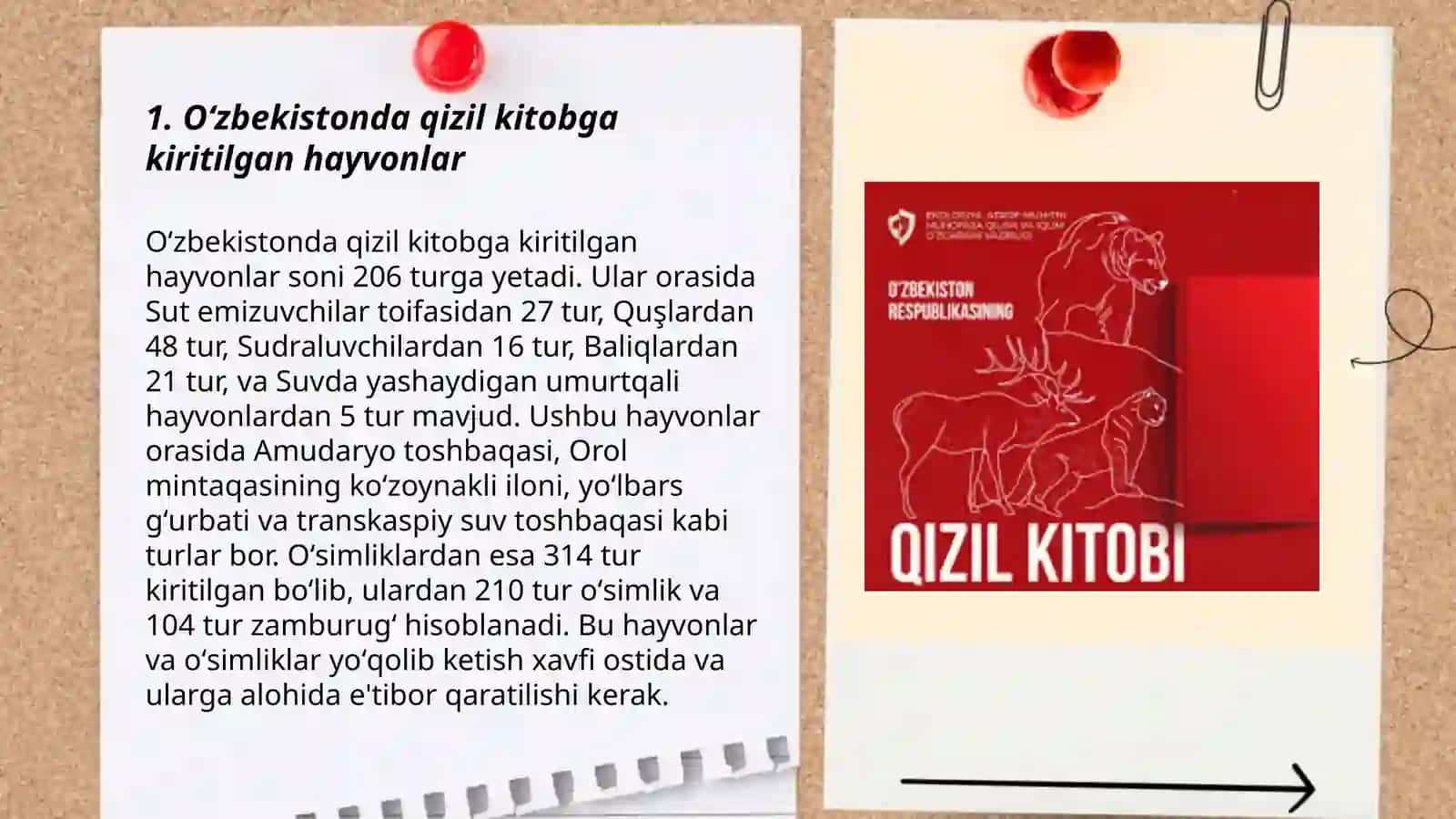 Ozbekistonga qizil kitobga kiritilgan hayvonlar va osimliklar 3