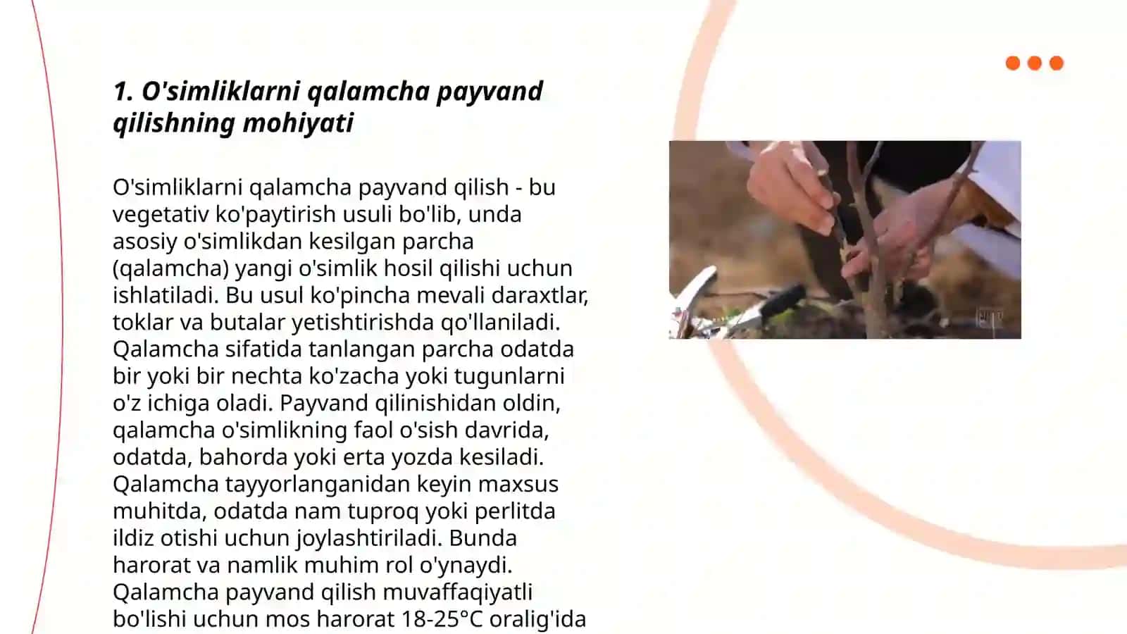 O'simliklarni qalamcha payvand qilish 3