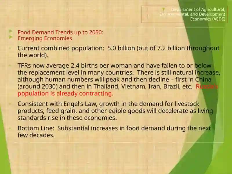 Food Demand Trends up to 2050 3