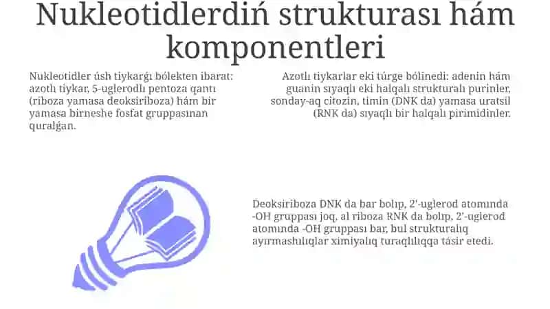 Nukleotidlerdin'du'zilisiha'mfunkciyasi 3