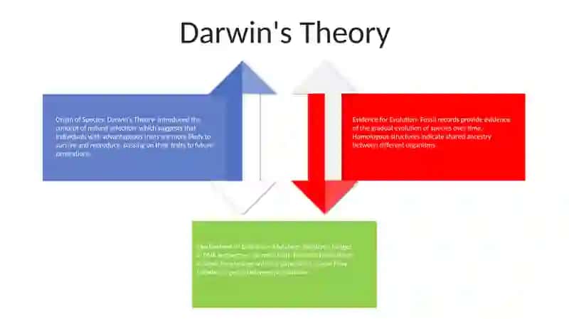 Theory Of Evolution 3
