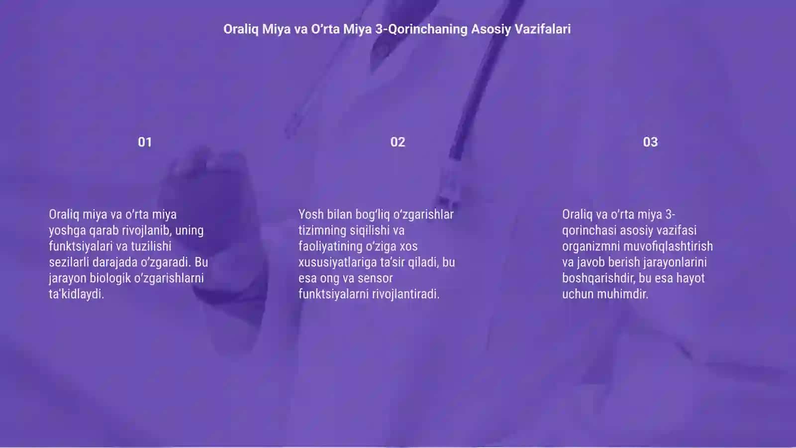 Oraliq Miya va Oʼrta Miya 3-Qorinchaning Yoshga Qarab Oʻzgarishi 3