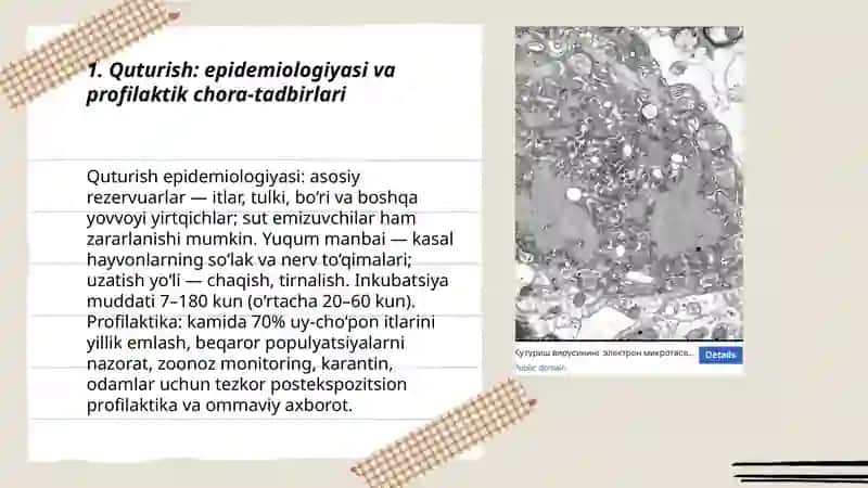Quturish, chechak, auyeski, oqsil, gripp, qora mollarning o'lat, diareya, rinotraxeit, parragrip-3, adenovirus kassaligi veterinariya bo'yicha 3