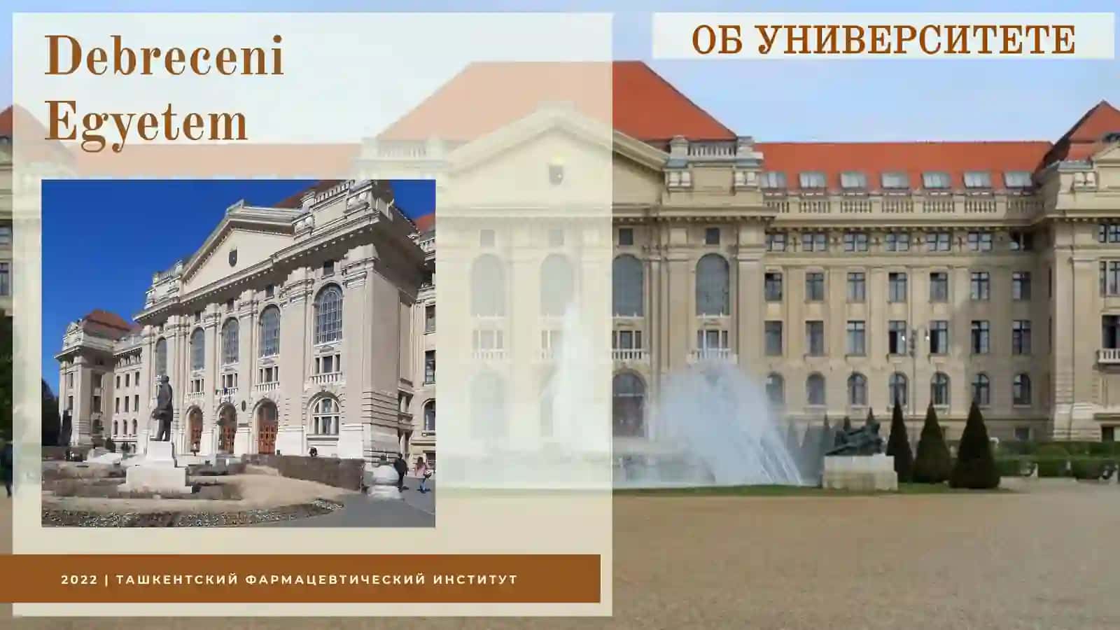 Exchange Mobility Program 3