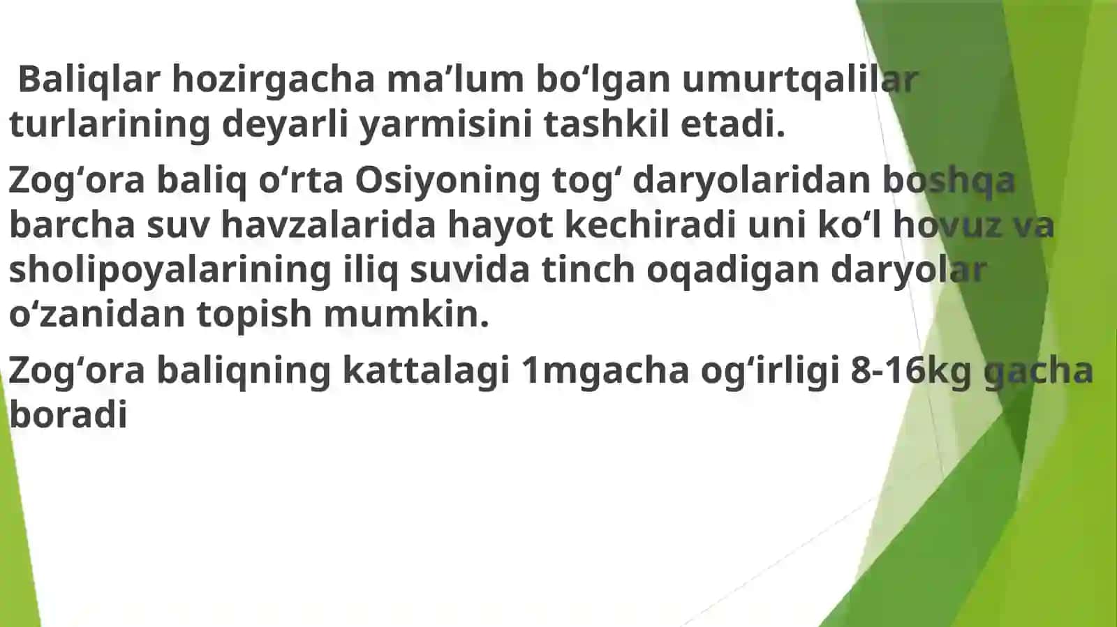 Zogʻorabaliqnings keleti va ichki tuzilishi 3