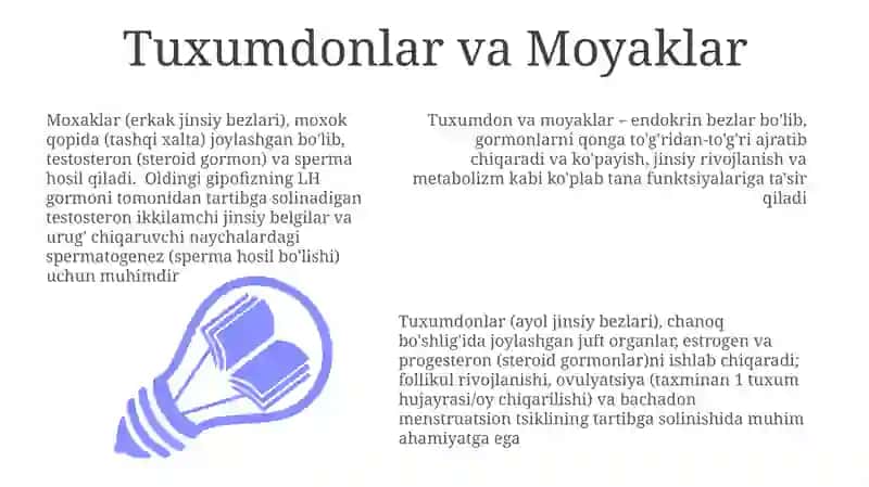Endokrin bezlar 3