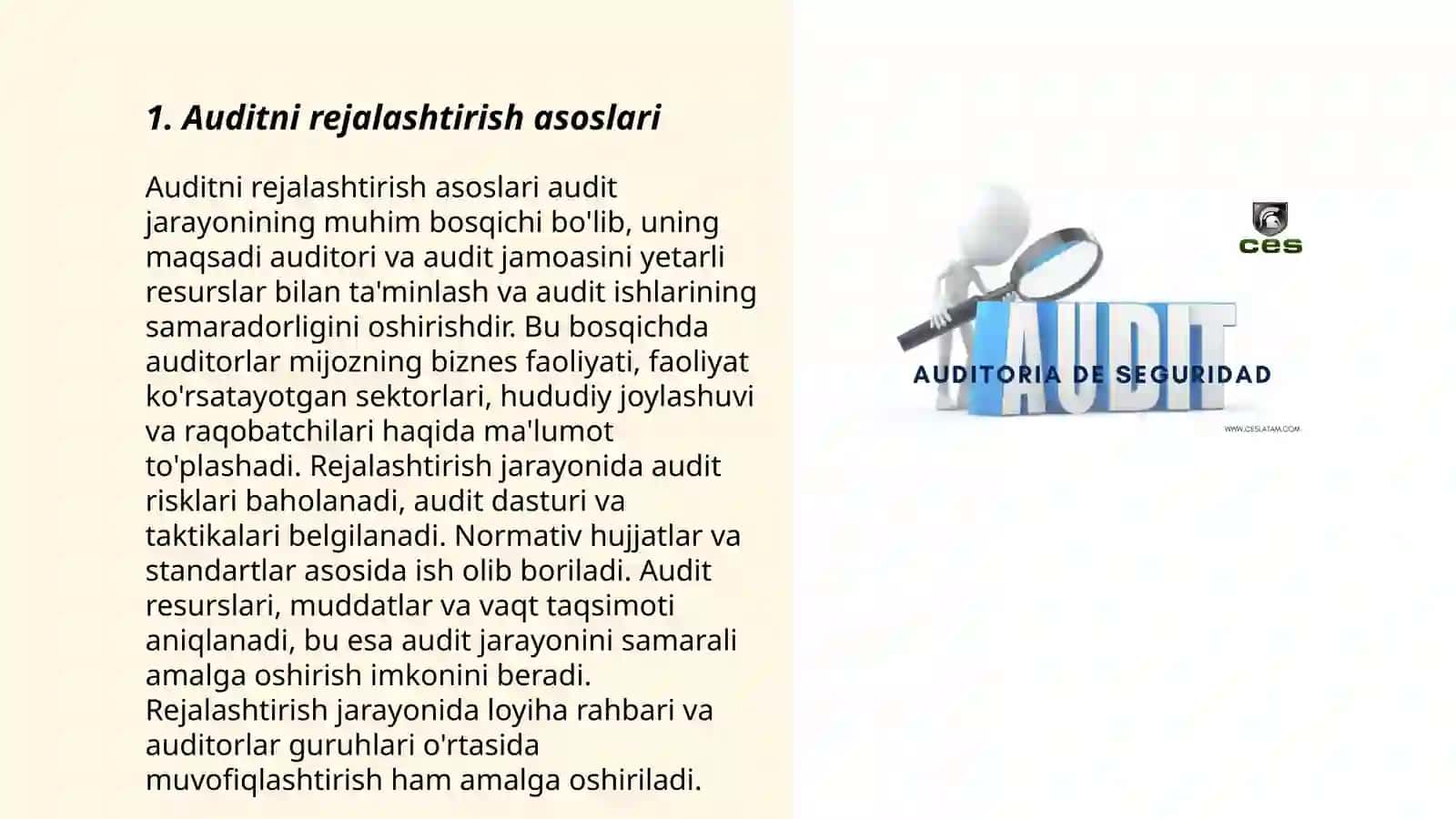 Auditini rejashtiriahning bosqichlari 3