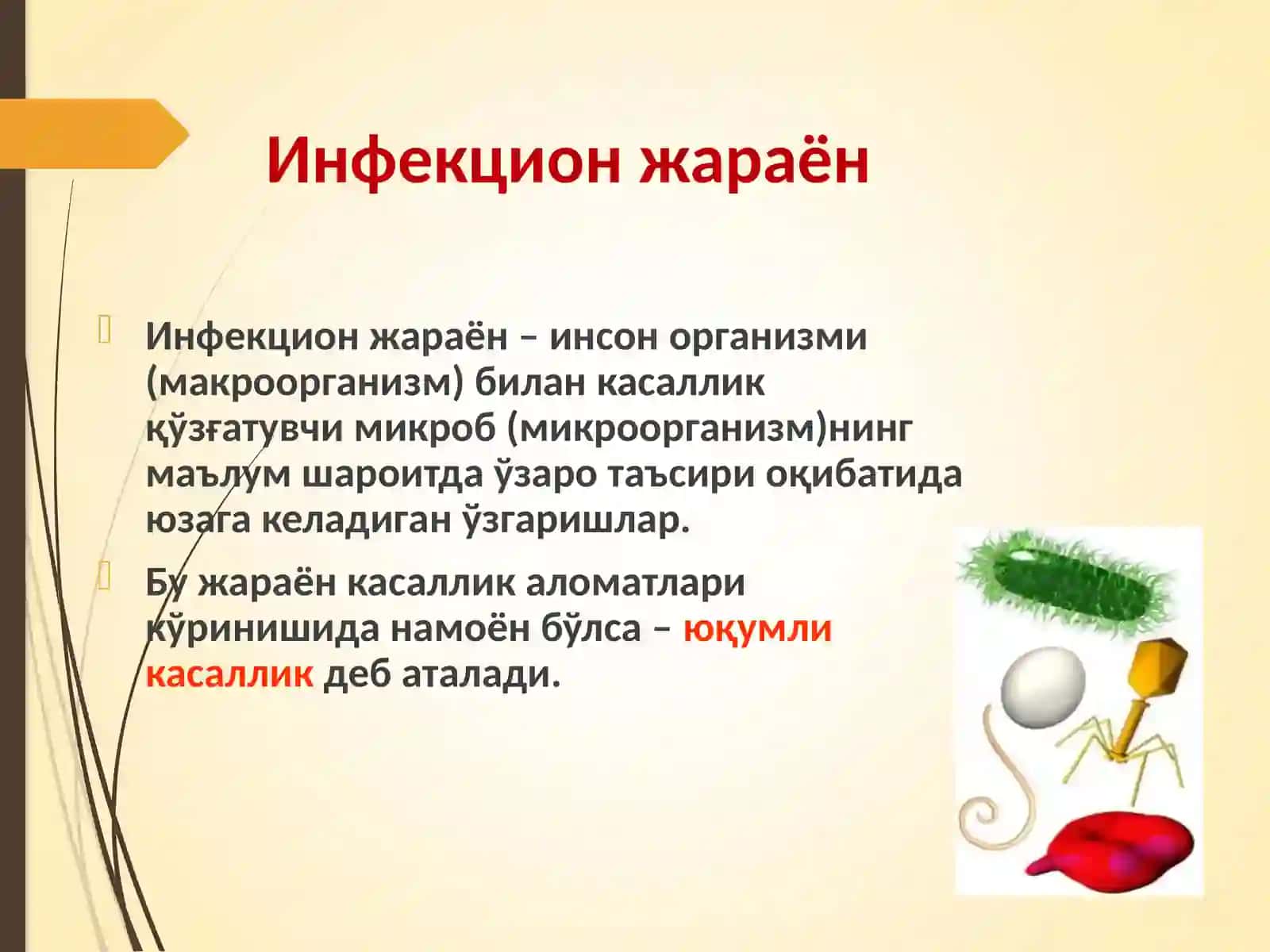 Инфекция 3