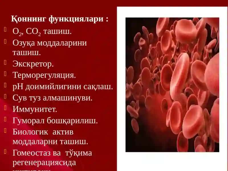 Kamqonlikning biokimyoviy xususiyatlari 3