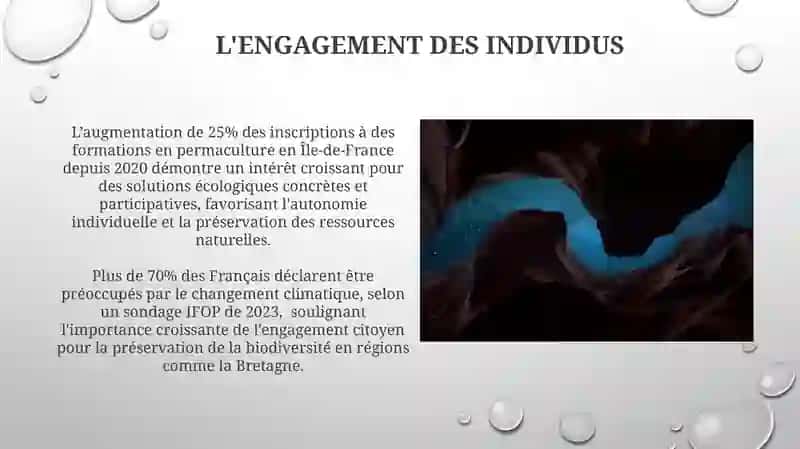Actions pour la Préservation de la Nature et de l'Environnement 3