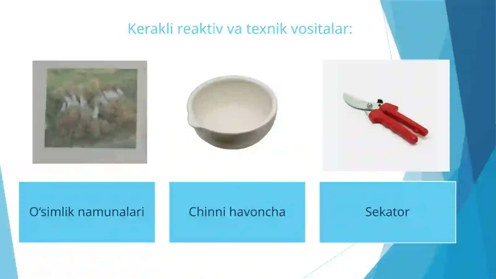 O‘SIMLIK NAMUNASINI OLISH VA UNI TAHLILGA TAYYORLASH 3