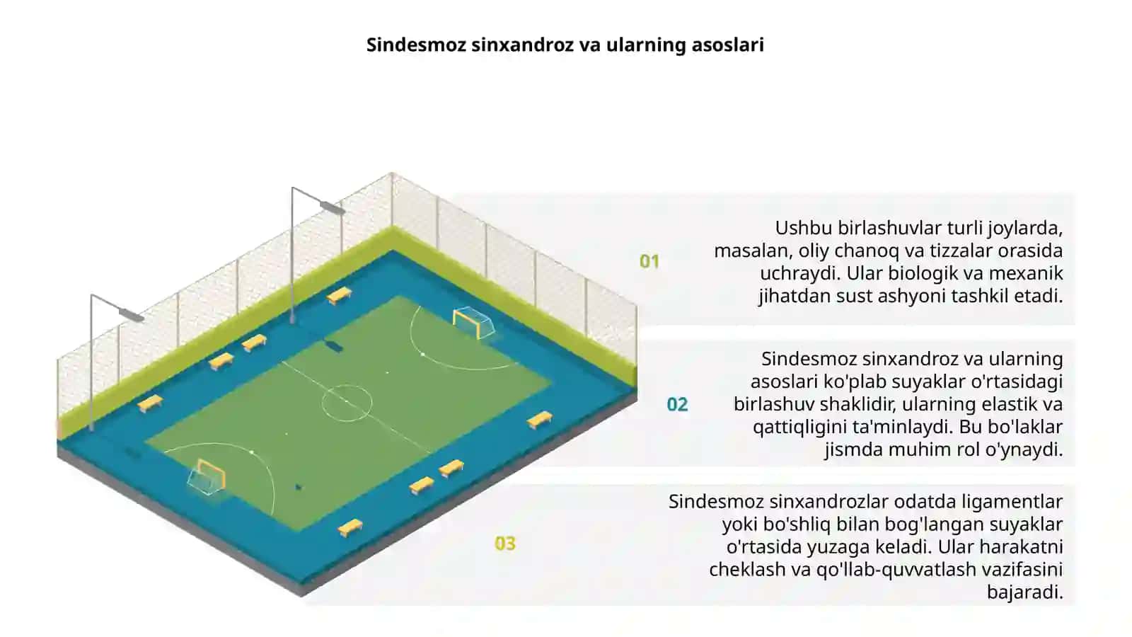 Sindesmoz sinxandroz sinostoz birlashuvlar 3
