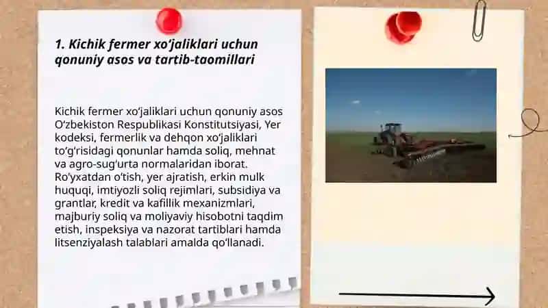 Kichik fermer xoʻjaliklari rivoji: imtiyoz va cheklovlar 3