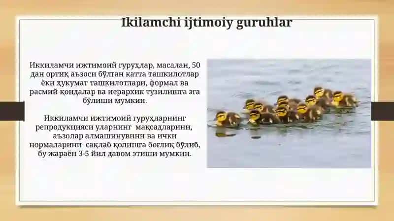 Ikilamchi ijtimoiy guruhlar 3