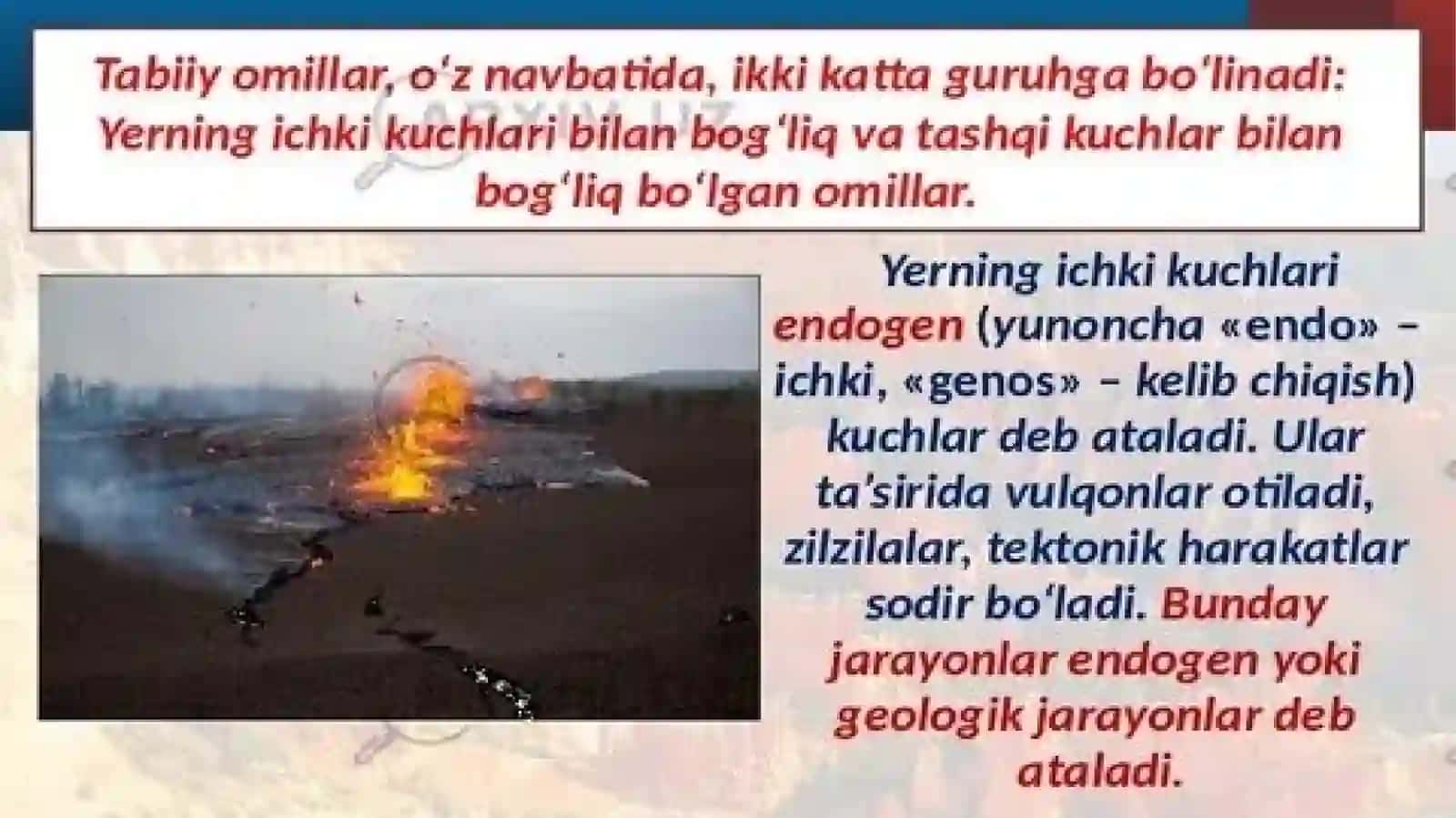 ENDOKGEN VA EKZOGEN JARAYONLAR 3