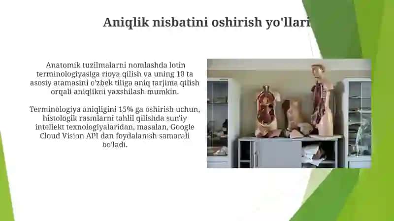 Anotomik va gistologik nomenklaturalarida qo'llanilgan hozirgi z. sifatdoshining aniqlik nisbati 3