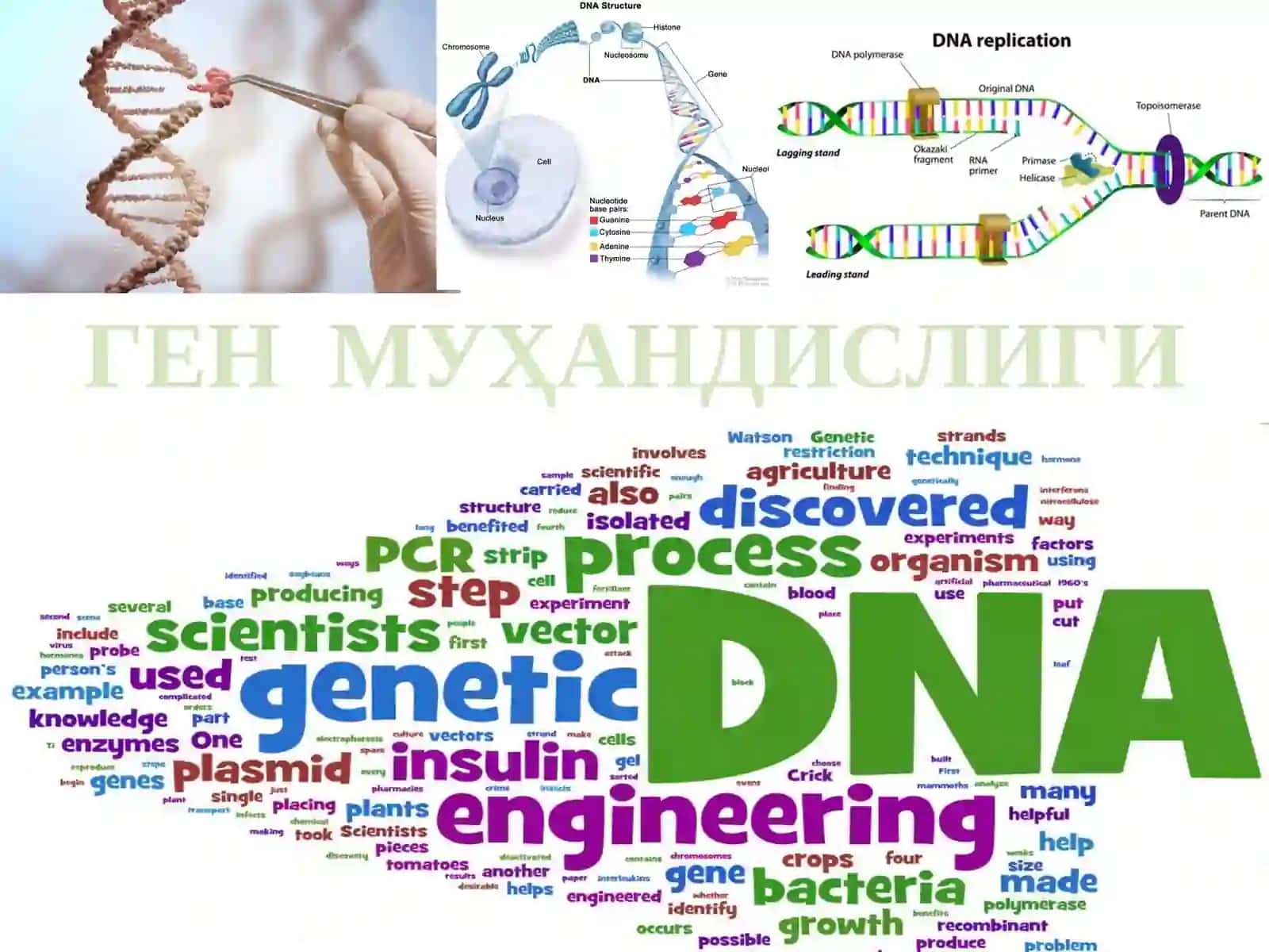 ГЕНМУҲАНДИСЛИГИНИНГ МОДДИЙАСОСЛАРИ 3
