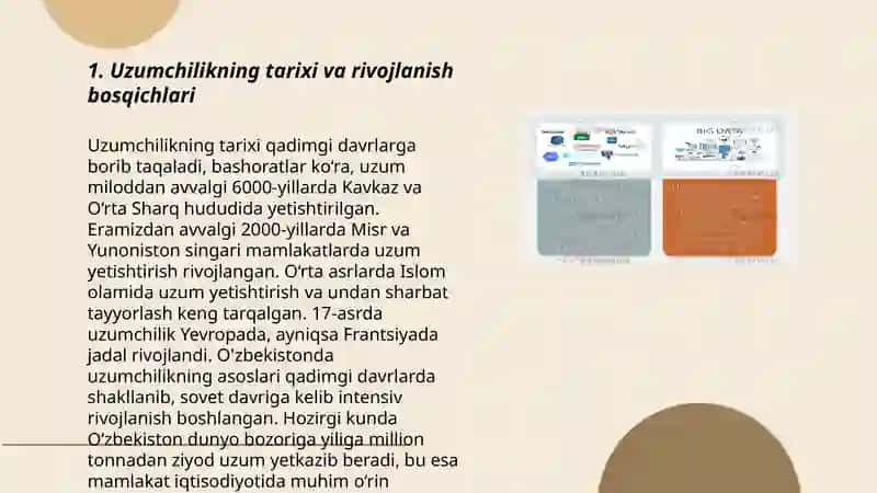 Uzumchilikning tarixi va rivojlanish bosqichlari 3
