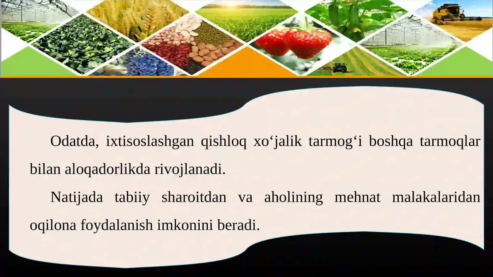 O‘zbеkistоndа qishlоq хo‘jаligining gеоgrаfik tiplаri 3