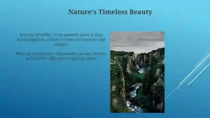 Nature's Palette 3