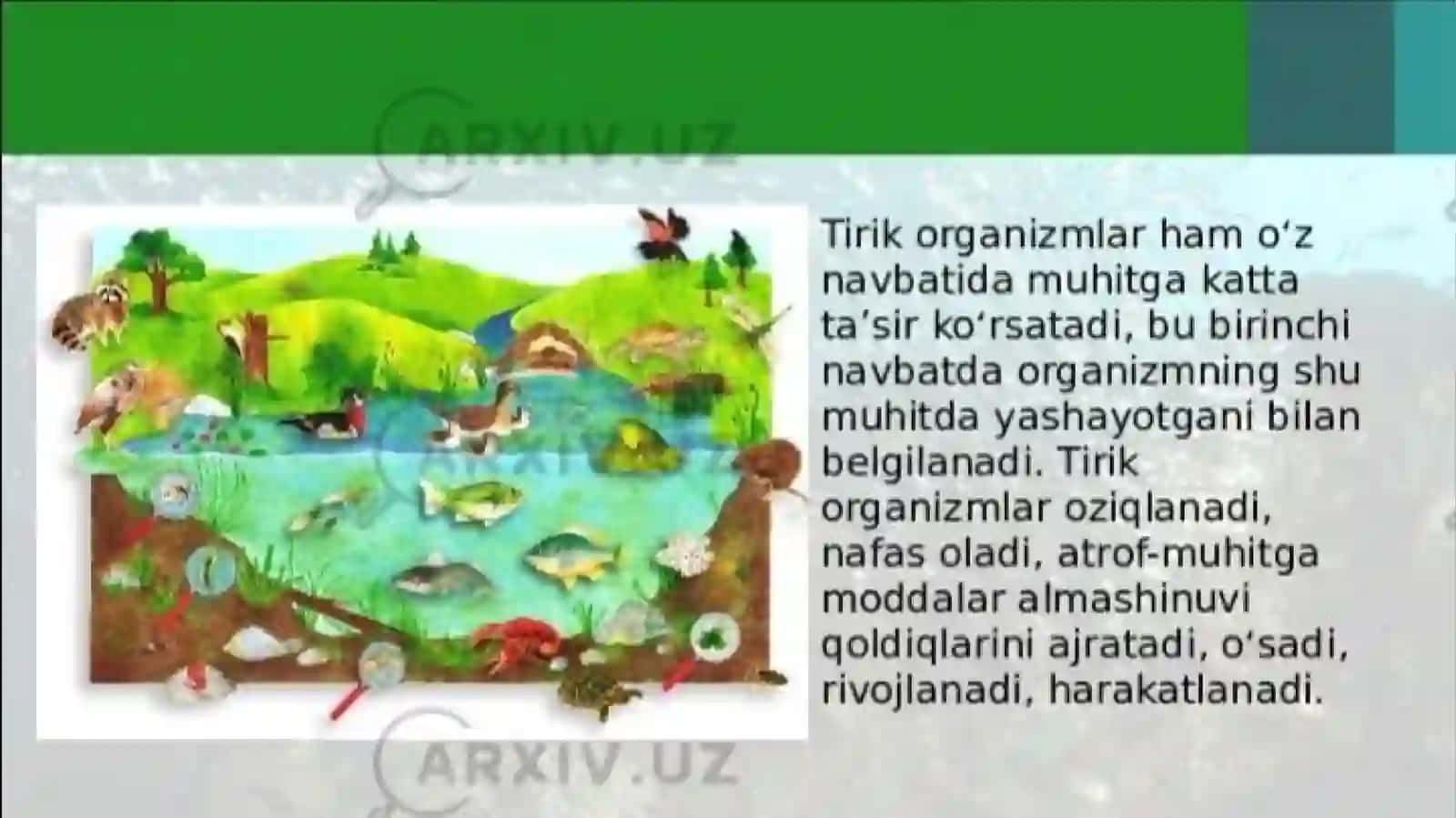 Organizmlarning tashqi muhit sharoitiga moslanishi 3