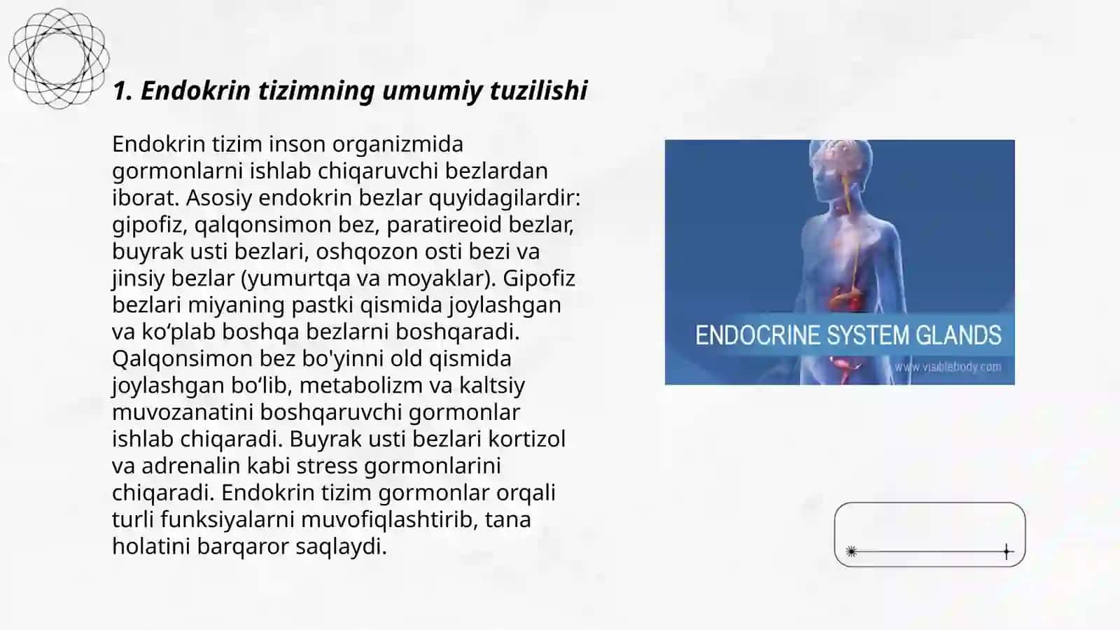 Endokrin bezlar fiziologiyasi va potologiyasi 3