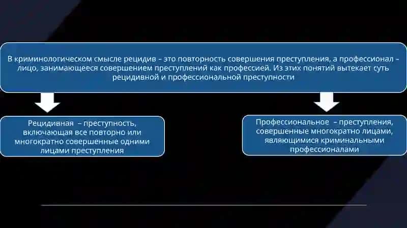 профессиональнаяи рецидивная преступность и их предупреждение 3