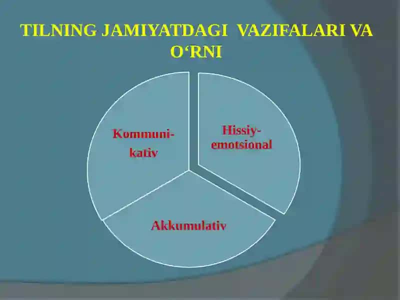 TILLARNI TASNIFLASH: FUNKSIONAL, AREAL,  TIPOLOGIK  VA  GENEOLOGIK TASNIF 3
