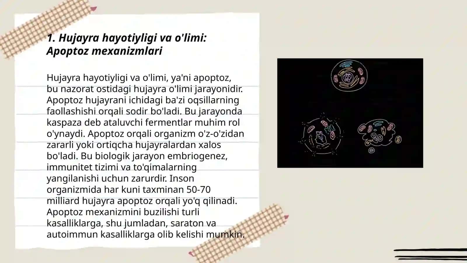 Hujayra biologiyasi(apoptoz va nekroz) gen terapiyasi asoslari 3