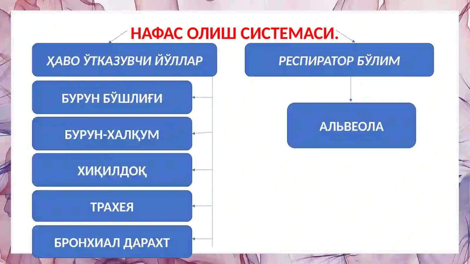 Тери ва унинг хосилалари 3