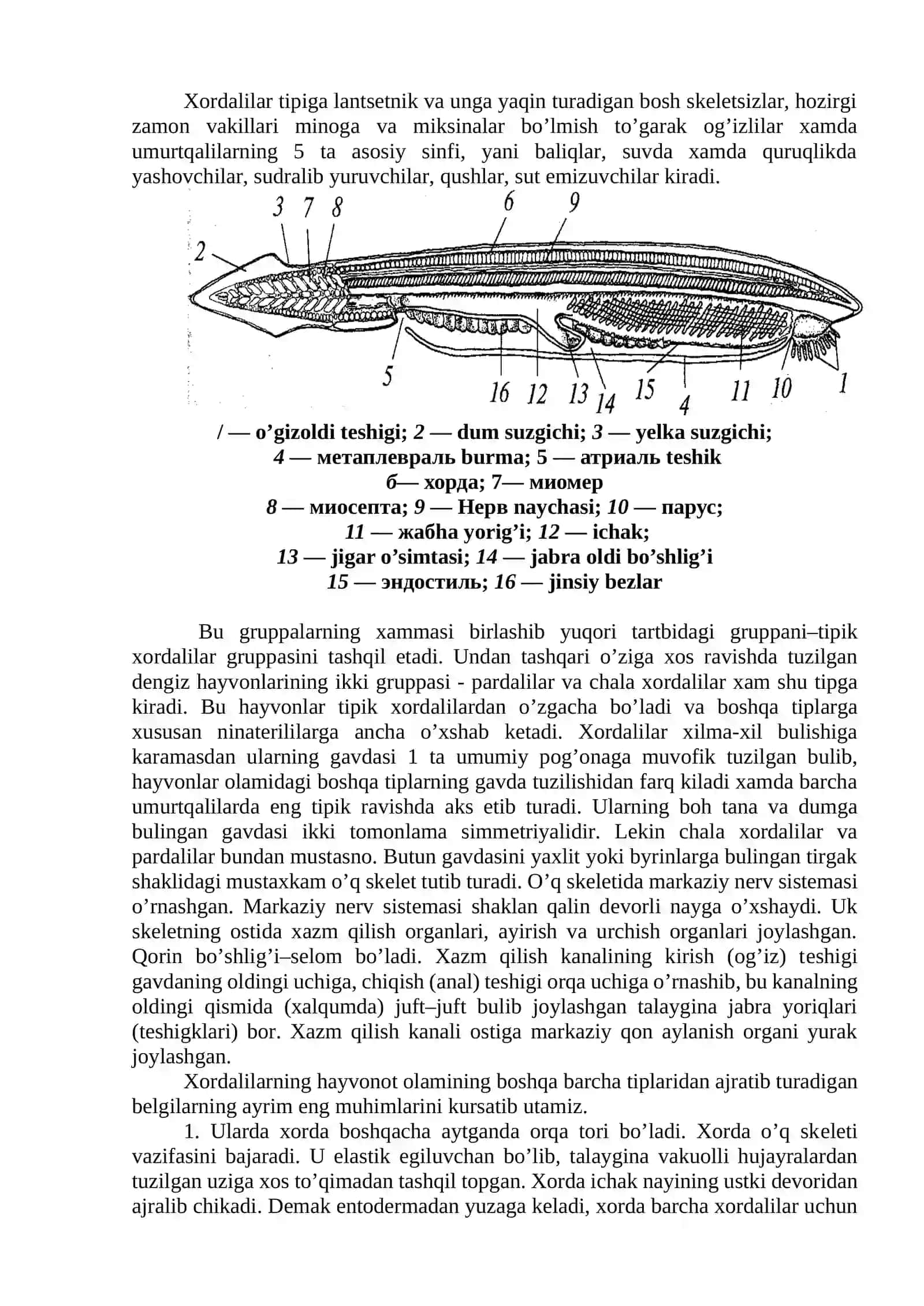 Umurtqali hayvonlar sezgi organlari sensor mexanizmlari 3